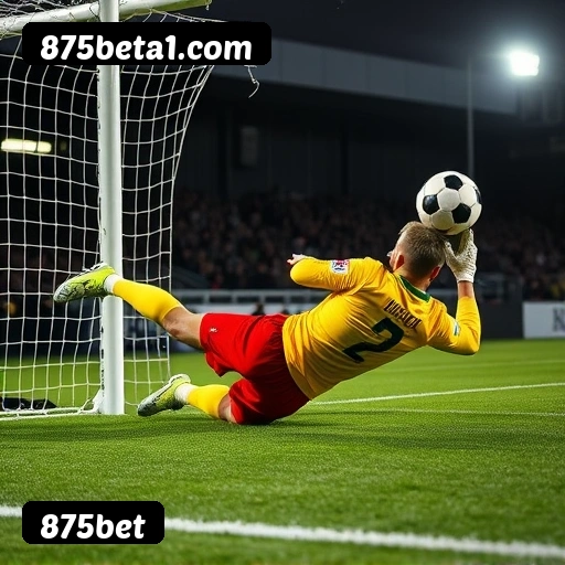 Vantagens exclusivas 875bet para jogadores brasileiros - São Paulo, Rio, BH