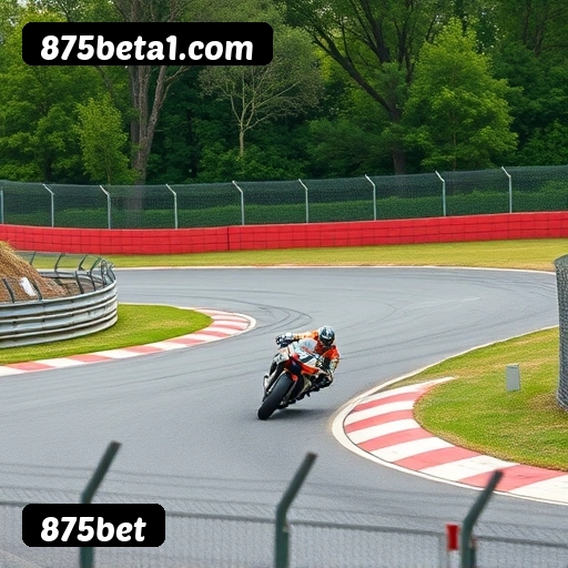 Requisitos do APK da 875bet para Android