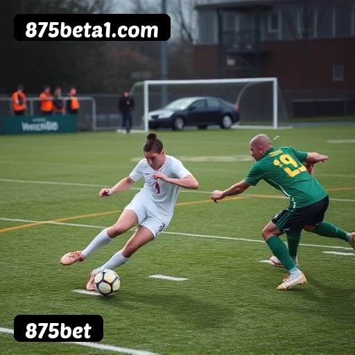 FAQ 875bet Brasil - Perguntas frequentes sobre bônus, PIX, RTP, APP mobile e VIP