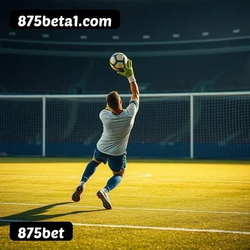 875bet APP mobile iOS Android - 187 mil downloads São Paulo Rio BH