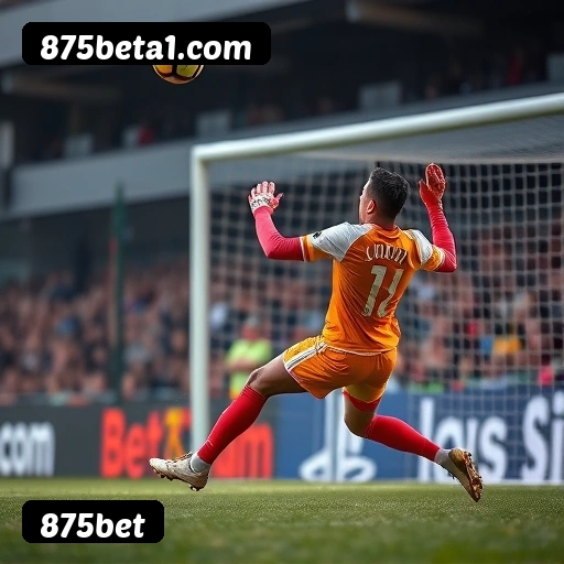 Estatísticas 875bet novembro 2024 - 87 mil jogadores ativos, R$47M pagos, RTP 96.52%